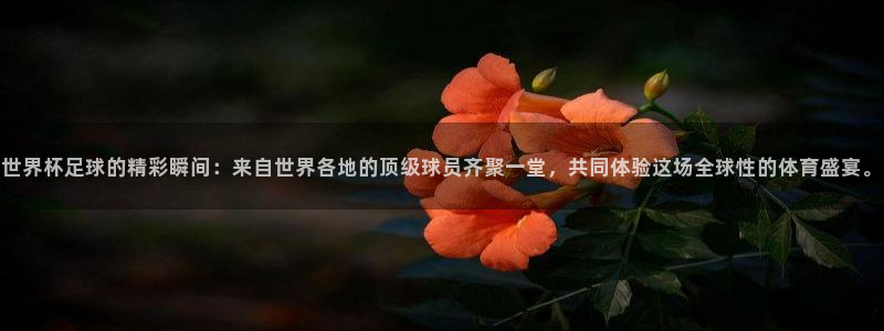 2026足球世界杯赛程：世界杯足球的精彩瞬间：来自世界各地的顶级球员齐聚一堂，共同体验这场全球性的体育盛宴。