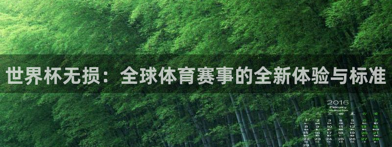 2026年世界杯赛程表时间：世界杯无损：全球体育赛事的全新体验与标准