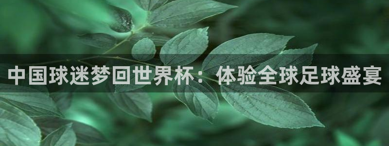 今年的世界杯：中国球迷梦回世界杯：体验全球足球盛宴