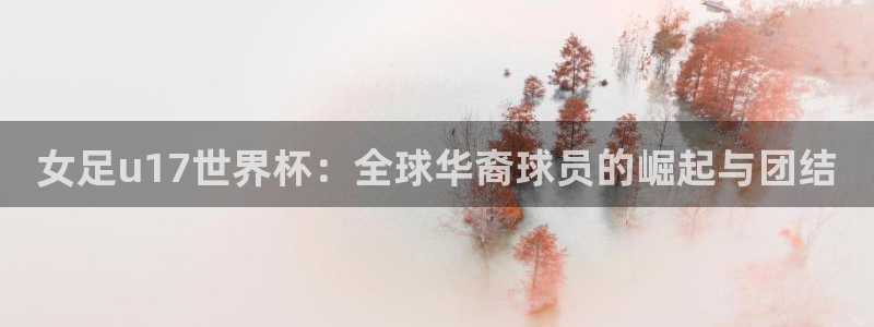 世界杯足球赛：女足u17世界杯：全球华裔球员的崛起与团结
