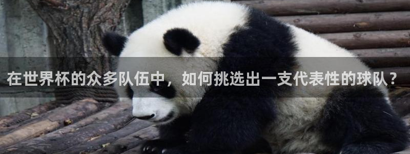 2006年世界杯冠军：在世界杯的众多队伍中，如何挑选出一支代表性的球队？