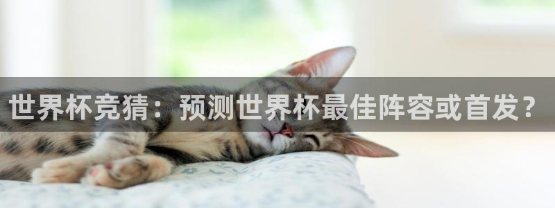 2006年世界杯冠军：世界杯竞猜：预测世界杯最佳阵容或首发？