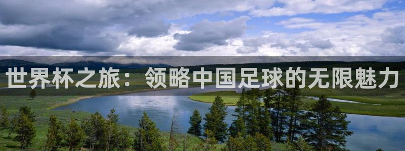 世界杯2026赛制：世界杯之旅：领略中国足球的无限魅力