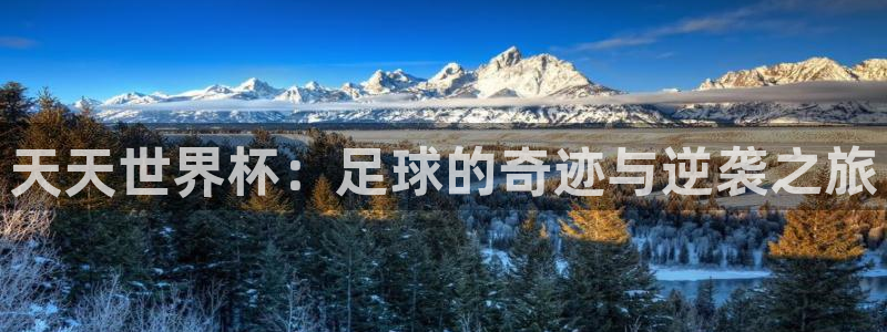 世界杯视频：天天世界杯：足球的奇迹与逆袭之旅