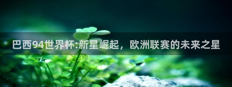 亚洲杯比赛直播：巴西94世界杯:新星崛起，欧洲联赛的未来之星