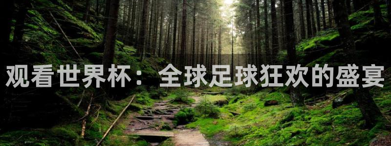足球世界杯2026年赛程时间表:观看世界杯:全球足球狂欢的盛宴