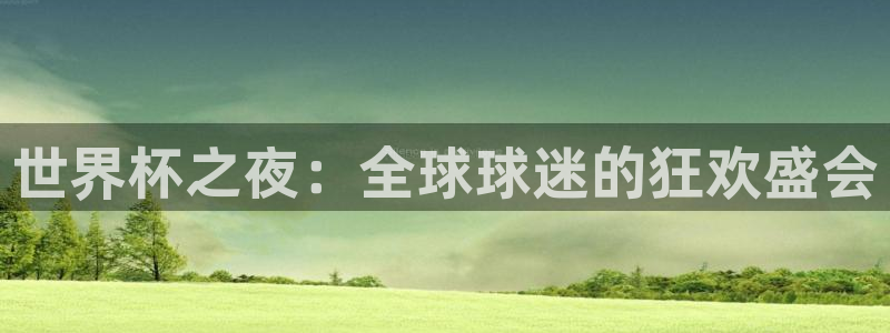 世界杯官网入口:世界杯之夜:全球球迷的狂欢盛会