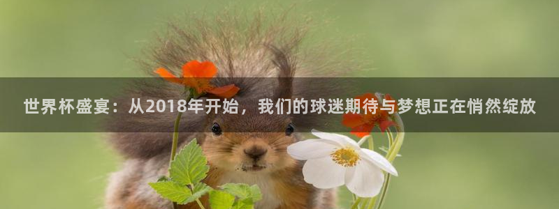 世界杯在线直播入口:世界杯盛宴:从2018年开始,我们的球迷期待与梦想正在悄然绽放