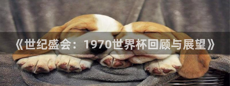 世界杯欧洲预选赛赛程:《世纪盛会:1970世界杯回顾与展望》