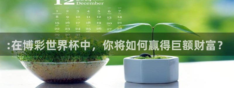 国际足联世界杯::在博彩世界杯中,你将如何赢得巨额财富?