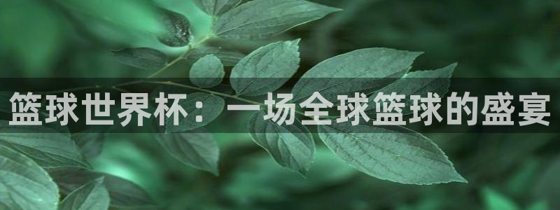 美国世界杯:篮球世界杯:一场全球篮球的盛宴