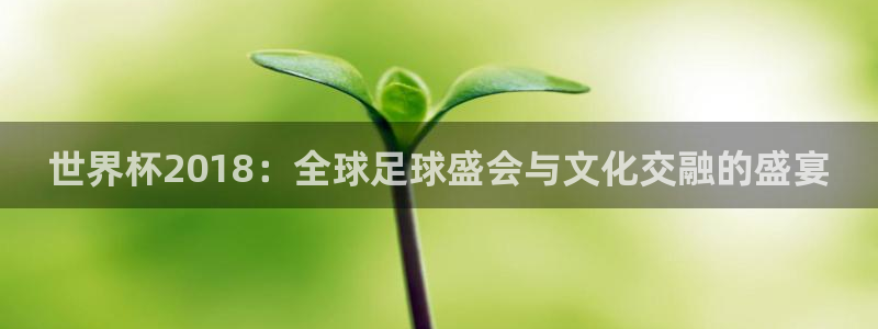 亚洲区世界杯预选赛：世界杯2018：全球足球盛会与文化交融的盛宴